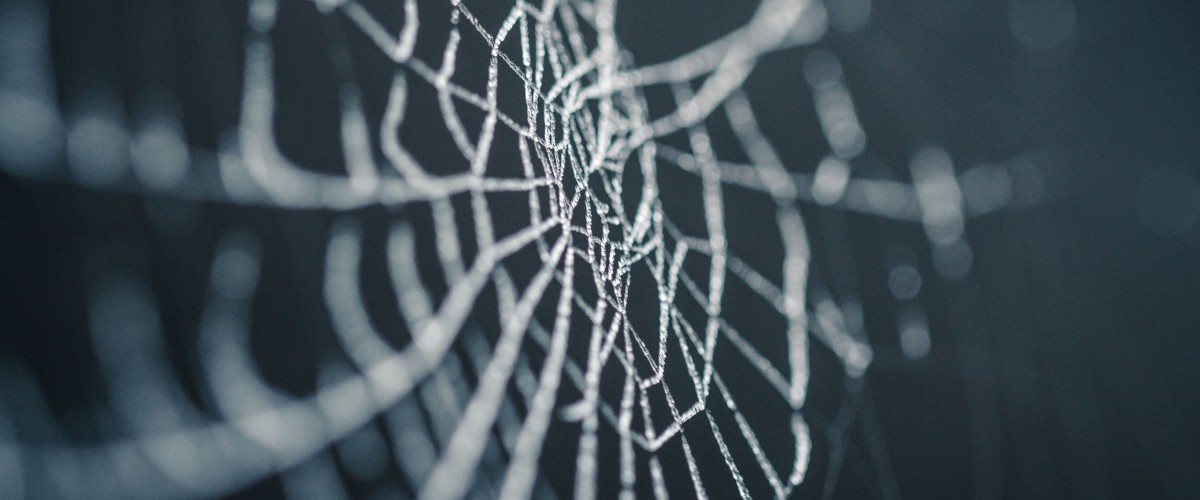 Spider web